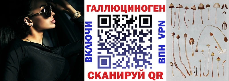 закладка  Карачев  Псилоцибиновые грибы MAGIC MUSHROOMS 