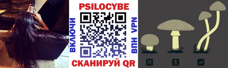 Псилоцибиновые грибы Psilocybine cubensis Карачев