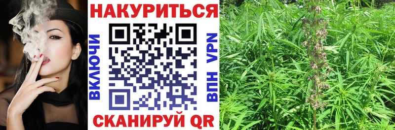 KRAKEN ТОР Карачев Канабис марихуана дарнет шоп